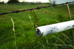 SETTING UP SOLAR ELECTRIC FENCE TO PROTECT CHICKENS FROM