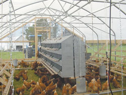 FARM SHOW - Hoop House Chicken Coop Takes Pasture Production To New 