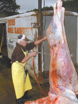 farm butchering stories animal tell farming farmshow