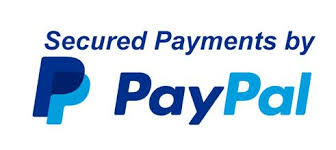 Secured Payment by Using PayPal