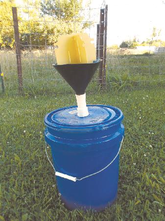 homemade japanese beetle traps