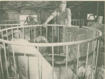 Farm Show Magazine The Best Stories About Made It Myself Shop