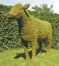 FARM SHOW Magazine - The BEST stories about Made-It-Myself Shop