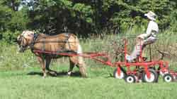 FARM SHOW Magazine - The BEST stories about Made-It-Myself Shop Inventions,  Farming and Gardening Tips, Time-saving Tricks & the Best Farm Shop Hacks,  DIY Farm Projects, Tips on Boosting your farm income