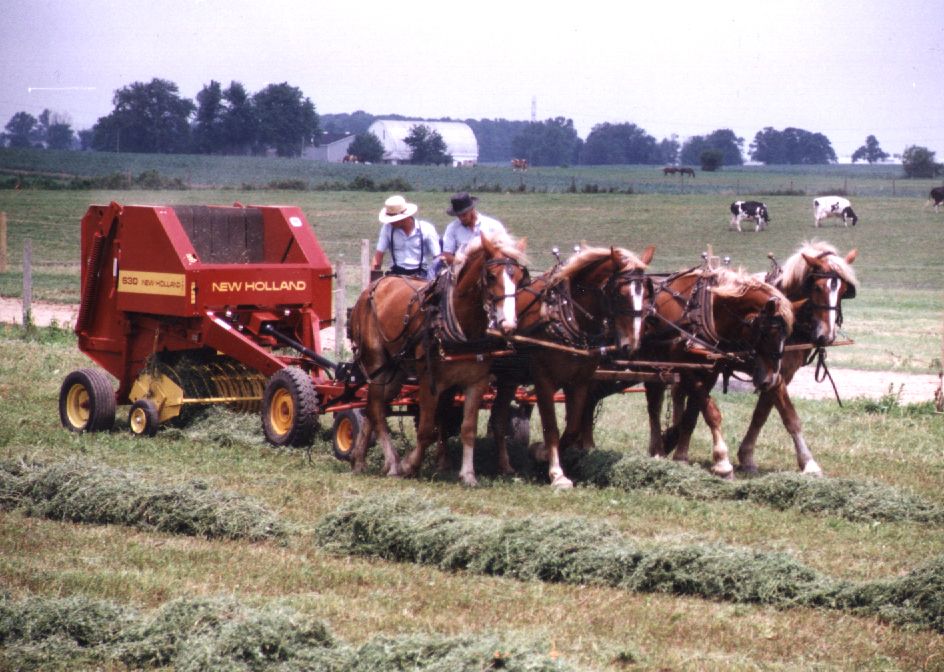 Farming With Horses And Mules