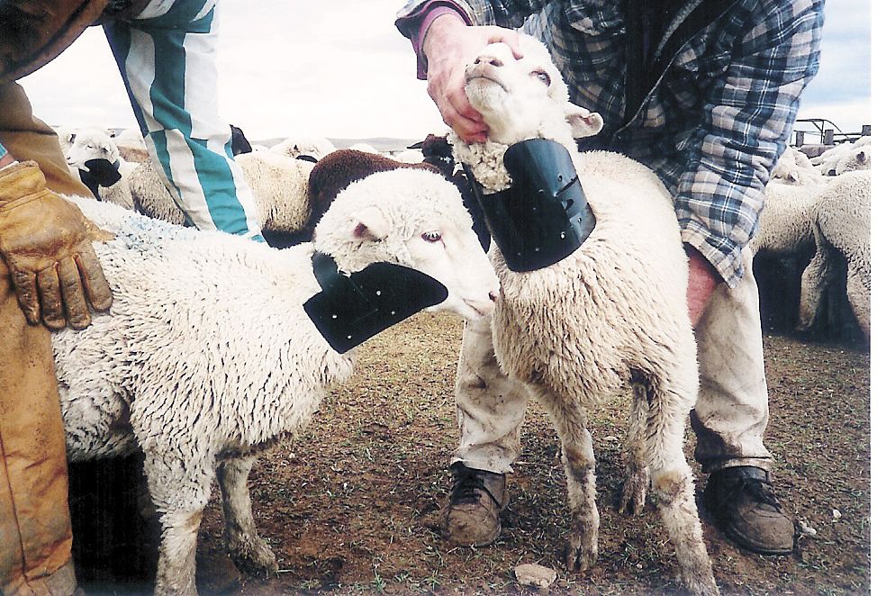 FARM SHOW Magazine - The BEST stories about Made-It-Myself 