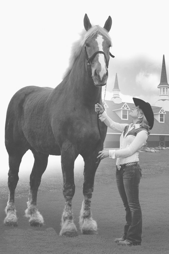 Big Jake Horse Guinness