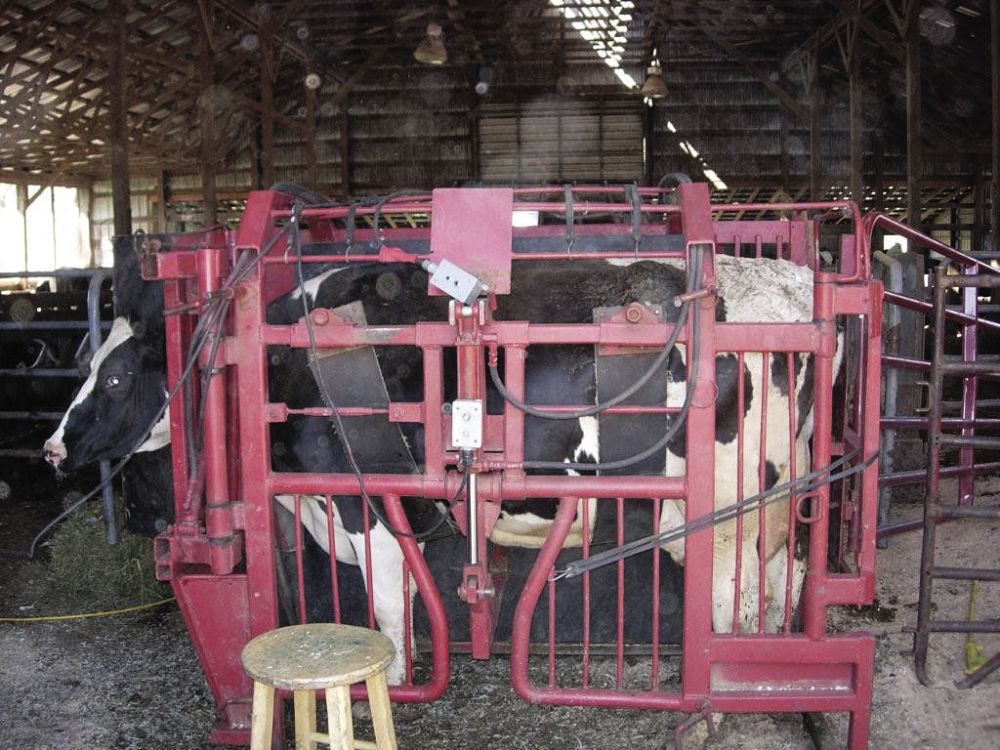 FARM SHOW Magazine - The BEST stories about Made-It-Myself Shop ...
