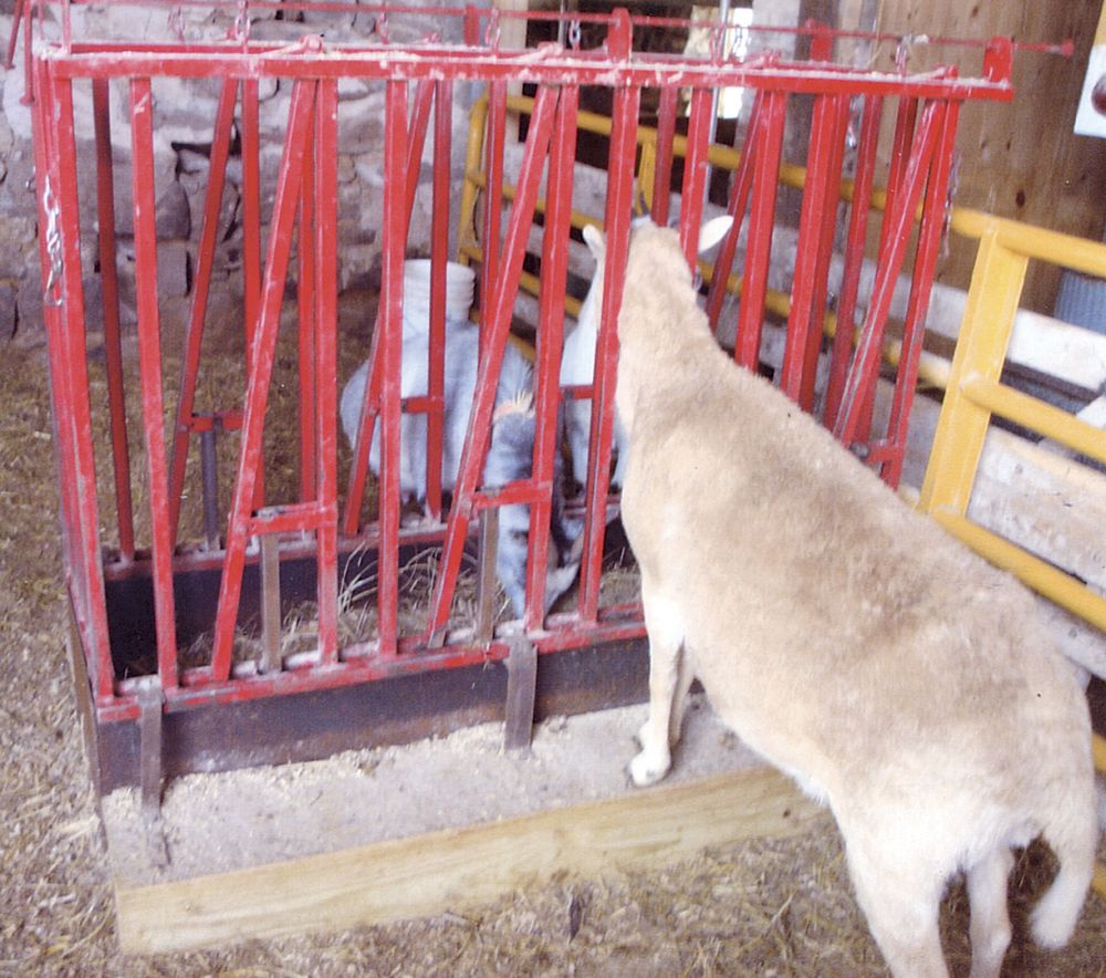 Farm Show Magazine The Best Stories About Made It Myself Shop