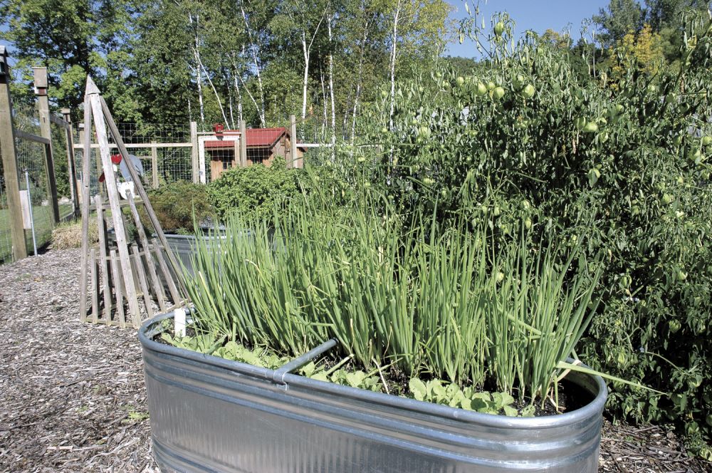 FARM SHOW Magazine - The BEST stories about Made-It-Myself Shop