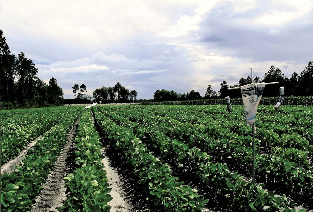 FARM SHOW Magazine - The BEST stories about Made-It-Myself Shop ...