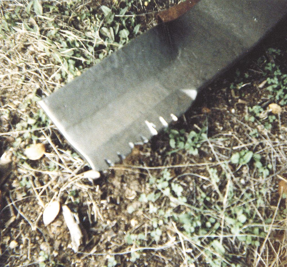 Serrated lawn mower blades hotsell