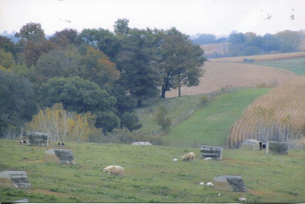 Farmside free instals