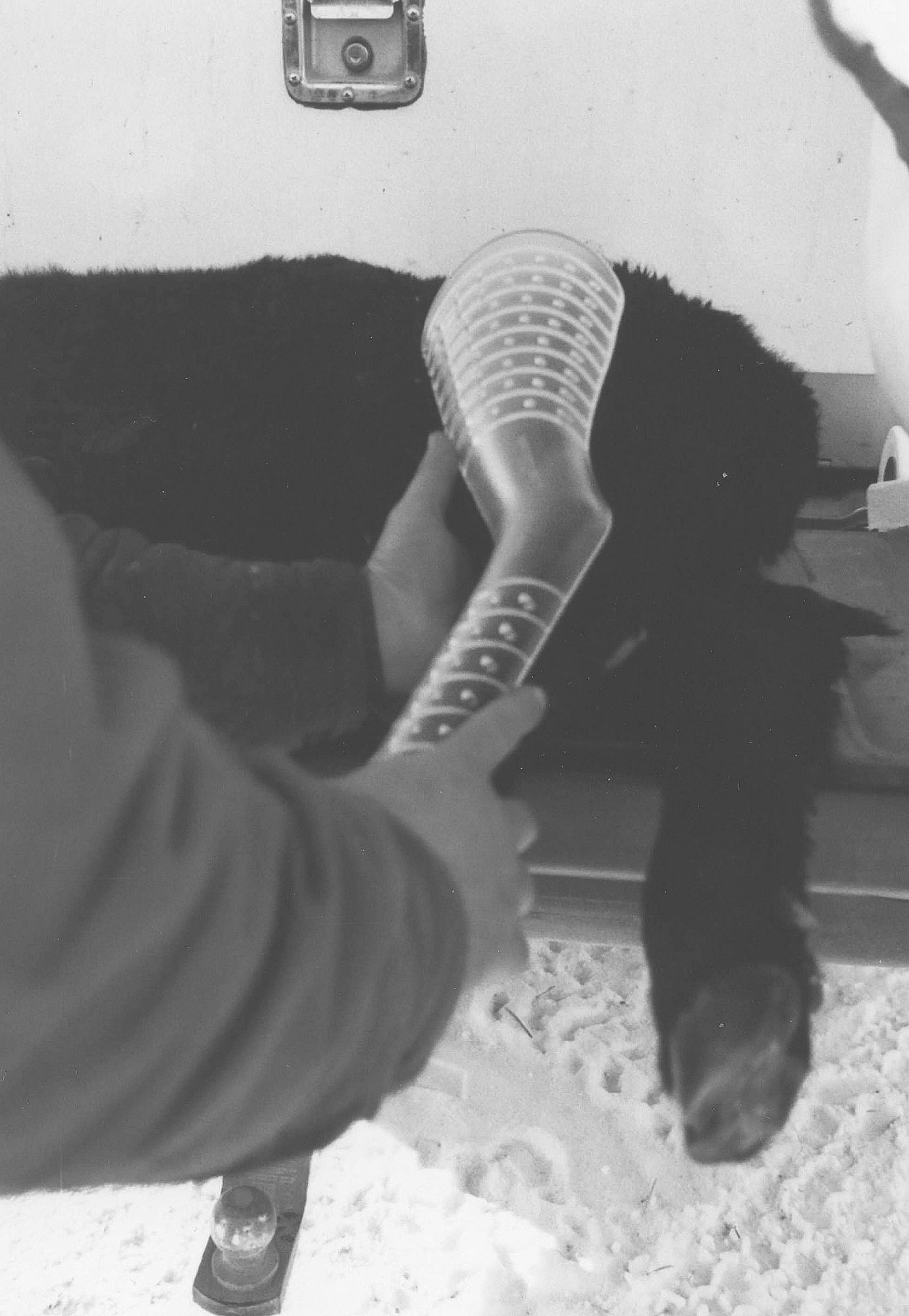 How Do You Make A Homemade Splint For A Dog