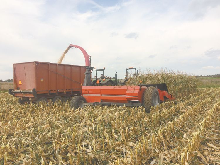 FARM SHOW Magazine - The BEST stories about Made-It-Myself Shop ...