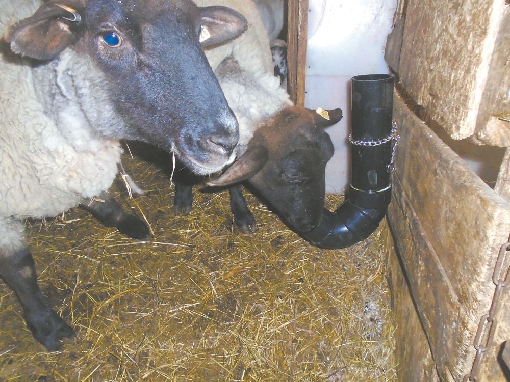 Farm Show Magazine The Best Stories About Made It Myself Shop