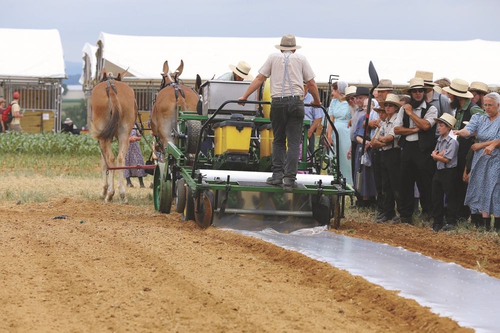 sweet corn planter