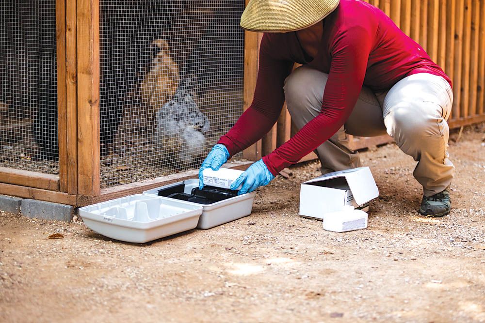 FARM SHOW Magazine - The BEST stories about Made-It-Myself Shop ...