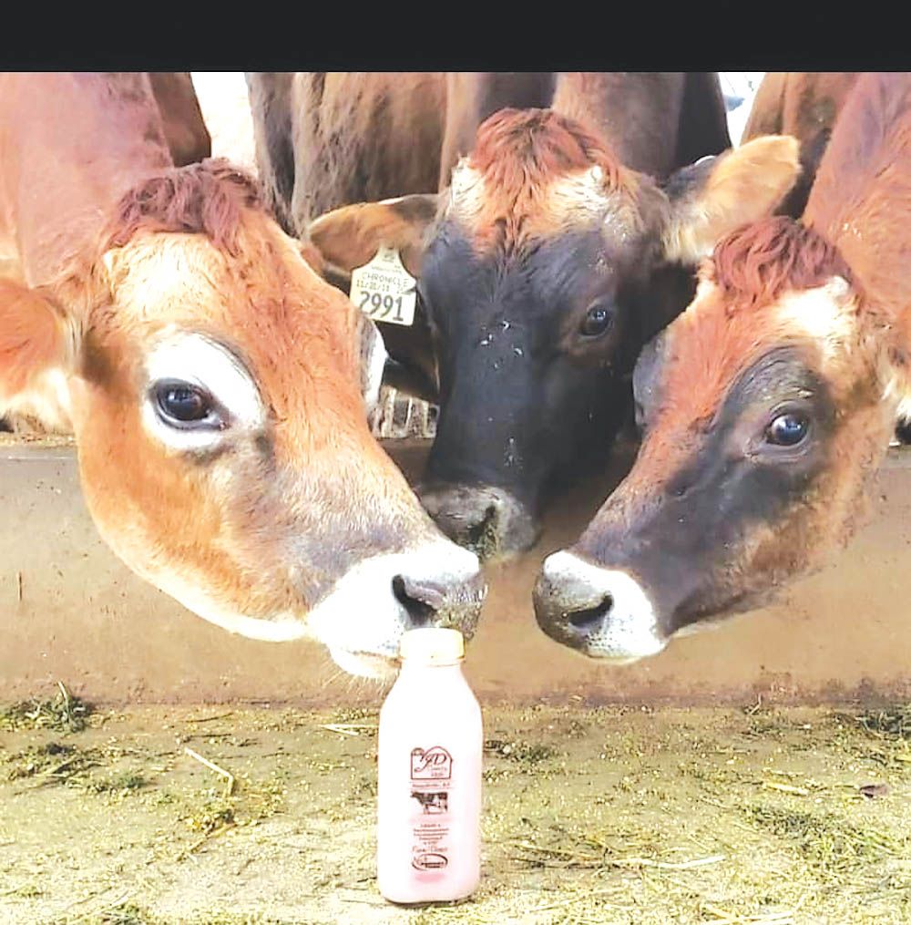 FARM SHOW Magazine - The BEST stories about Made-It-Myself Shop ...