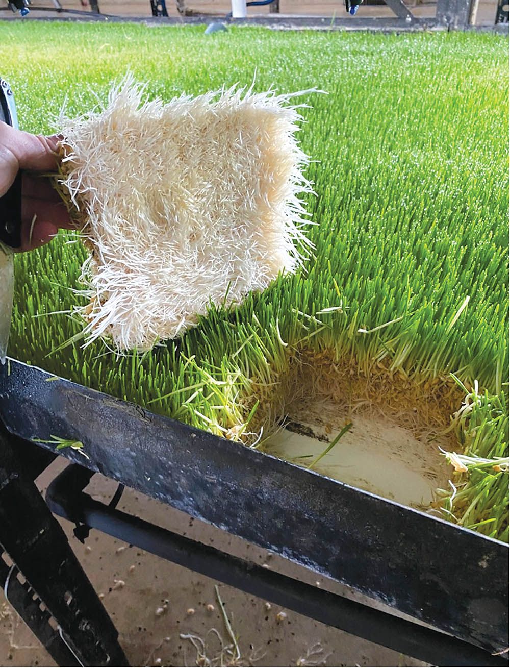 FARM SHOW Magazine - The BEST stories about Made-It-Myself Shop ...