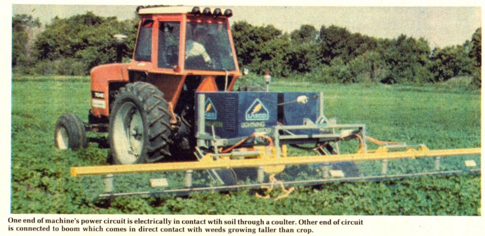 Killing weeds discount with electricity