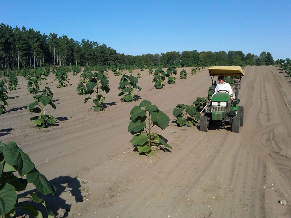 FARM SHOW Magazine - The BEST stories about Made-It-Myself Shop ...