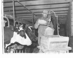 Pic right shows made it myself feed cart that caught an editors eye in the 1930s and earned my grandfather a spot in another magazine.