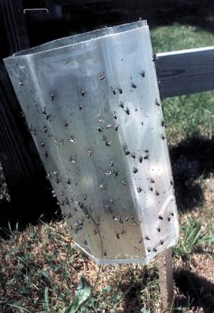 Farm Hack Fly Traps