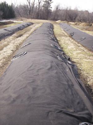 composting controlling improving moisture odors reducing efficient curing fly same times