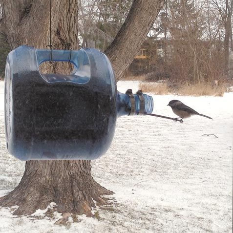 Lazy Man's Bird Feeder