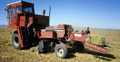 Old Combine Made Into Self-Propelled Baler