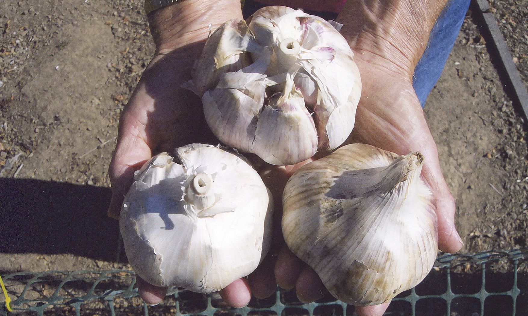 FARM SHOW Magazine - The BEST stories about Made-It-Myself Shop