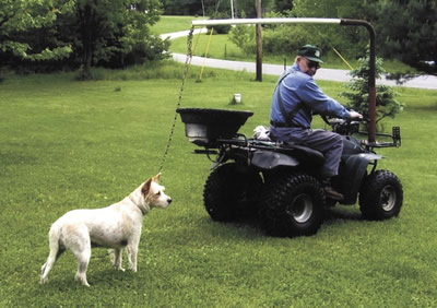 Easy Way To Walk A Dog